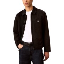 Calvin Klein Ls Ltwt Cotton Padded Eısenhower