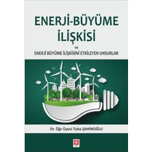 Ekin Basım Enerji-Büyüme Ilişkisi ve Enerji Büyüme Ilişkisini Etkileyen Unsurlar