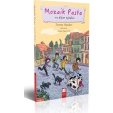 Binbir Göz Kitap Mozaik Pasta ve Diğer Öyküler