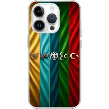 TechTree iPhone 14 Pro Uyumlu Tarihi Türk Devletleri Bayrakları Baskılı Silikon Kılıf