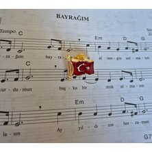 Müzik Ve Herşey Türk Bayrağı Broş