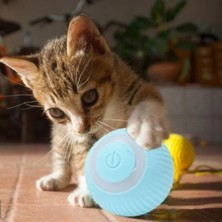 Eco Lounge Interaktif Kedi Köpek Şarjlı Oyun Topu