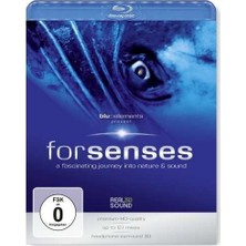 SoundBox Forsenses - Blu::elements Project - 1 Bluray