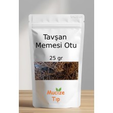 Mucize Tıp Tavşan Memesi Otu Dökme 25 gr
