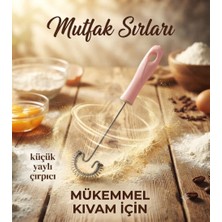 Evim 365 Yaylı Çırpıcı
