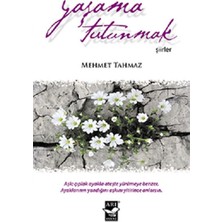 Arı Sanat Yayınevi Yaşama Tutunmak