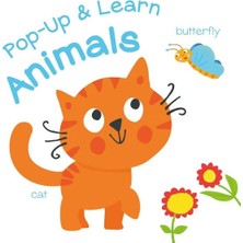 Yoyo Books Pop Up & Learn: Animals