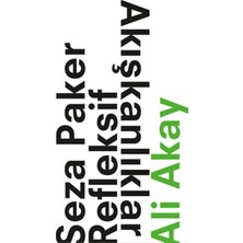 Minör Yayınları Seza Paker Refleksif Akışkanlıklar