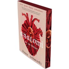 İndigo Kitap Anatomi - Bir Aşk Hikayesi