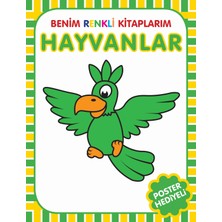 Parıltı Yayınları Benim Renkli Kitaplarım Hayvanlar