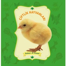 0-6 Yaş Yayınları Çiftlik Hayvanları - Dokun ve Hisset