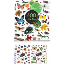 Dstil Tasarım Eğlen Öğren - Böcekler 400 Çıkartma