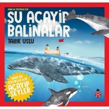 Uğurböceği Yayınları Daha Küçükler Için Şu Acayip Balinalar