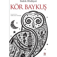 Panama Yayıncılık Kör Baykuş