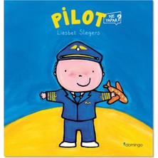 Domingo Yayınevi Pilot Ne Yapar?