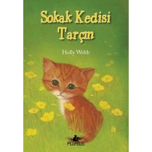 Pegasus Yayınları Sokak Kedisi Tarçın