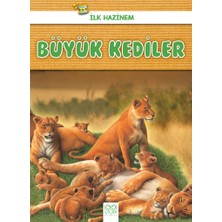 1001 Çiçek Kitaplar Ilk Hazinem - Büyük Kediler