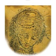 Düşün Yayıncılık Tavsiyeler (Tek Kitap)