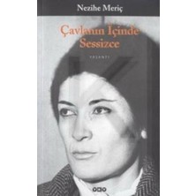 Yapı Kredi Yayınları Çavlanın Içinde Sessizce