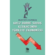İmge Kitabevi Yayınları Kriz Darne Savaş Kıskacında Türkiye Ekonomisi