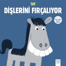 1001 Çiçek Kitaplar Merhaba Küçük Deha - Tay Dişlerini Fırçalıyor