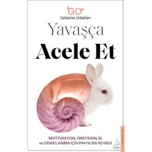 Destek Yayınları Yavaşça Acele Et