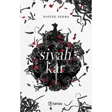 Teras Kitap Siyah Kar