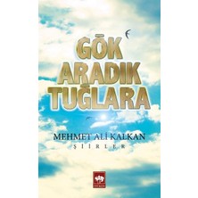 Ötüken Neşriyat Gök Aradık Tuğlara