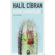 Pınar Yayınları Kırık Kanatlar