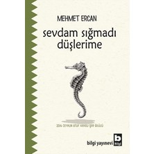 Bilgi Yayınevi Sevdam Sığmadı Düşlerime