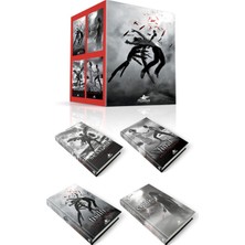Pegasus Yayınları Hush Hush Serisi Seti (4 Kitap)