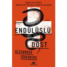 Pegasus Yayınları Endülüslü Dost