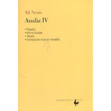 Nesin Matematik Köyü Analiz Iv