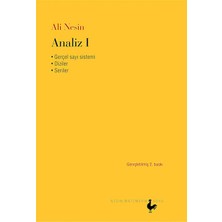 Nesin Matematik Köyü Analiz 1