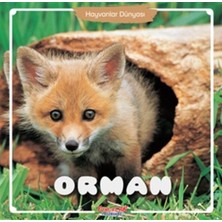 Yumurcak Yayınları Orman - Hayvanlar Dünyası