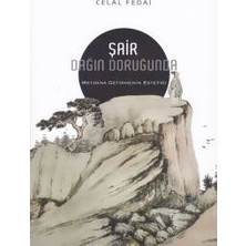 İnsanart Şair Dağın Doruğunda - Meydana Getirmemenin Estetiği