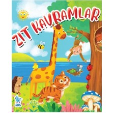 Minik Damla Zıt Kavramlar