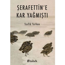 Babek Yayınları Şerafettin'e Kar Yağmıştı