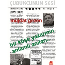 Kırmızı Kedi Yayınevi Bir Köşe Yazarının Anlamlı Anıları
