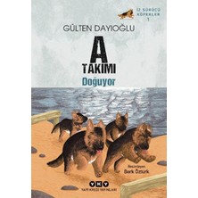 Yapı Kredi Yayınları A Takımı Iz Sürücü Köpekler 1 - A Takımı Doğuyor