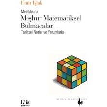 Nesin Yayınevi Meraklısına Meşhur Matematiksel Bulmacalar - Tarihsel Notlar ve Yorumlarla