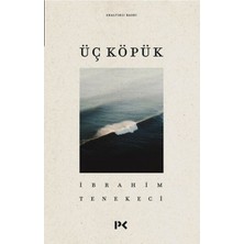 Profil Kitap Üç Köpük