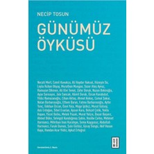 Ketebe Yayınları Günümüz Öyküsü