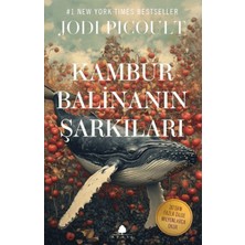 April Yayıncılık Kambur Balinanın Şarkıları
