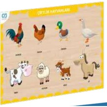 Ca Games Ahşap Çiftlik Hayvanları Eğitici Set