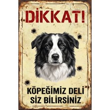 Arıkoğlu Reklam Ve Yapı Dikkat Köpek Var - Avustralya Çoban Köpeği (Aussie) Uyarı Levhası - Paslanmaz Metal Görünümlü Dekoratif Tabela