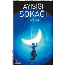 Girdap Kitap Ayışığı Sokağı