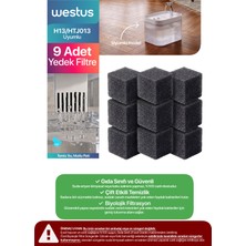 HTJ013 / H13 Uyumlu 9 Adet Yedek Filtre -Westus Inpets Su Pınarı,sebili,çeşmesi Filtresi (Sadece Filtre)