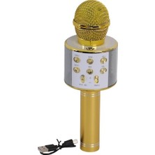 Freedom Storee EMR-101 Kutulu Karaoke Mikrofon