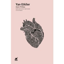 Lisinya Yan Etkiler